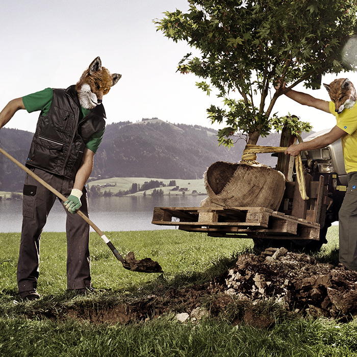 Gartenbau & Landwirtschaft